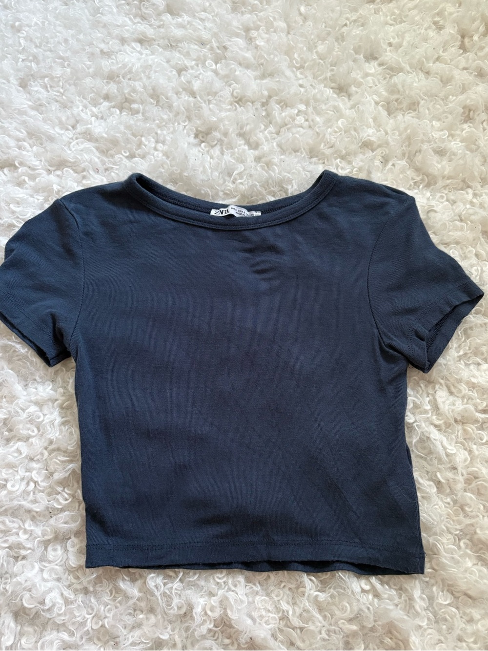 Zara Cropped Top